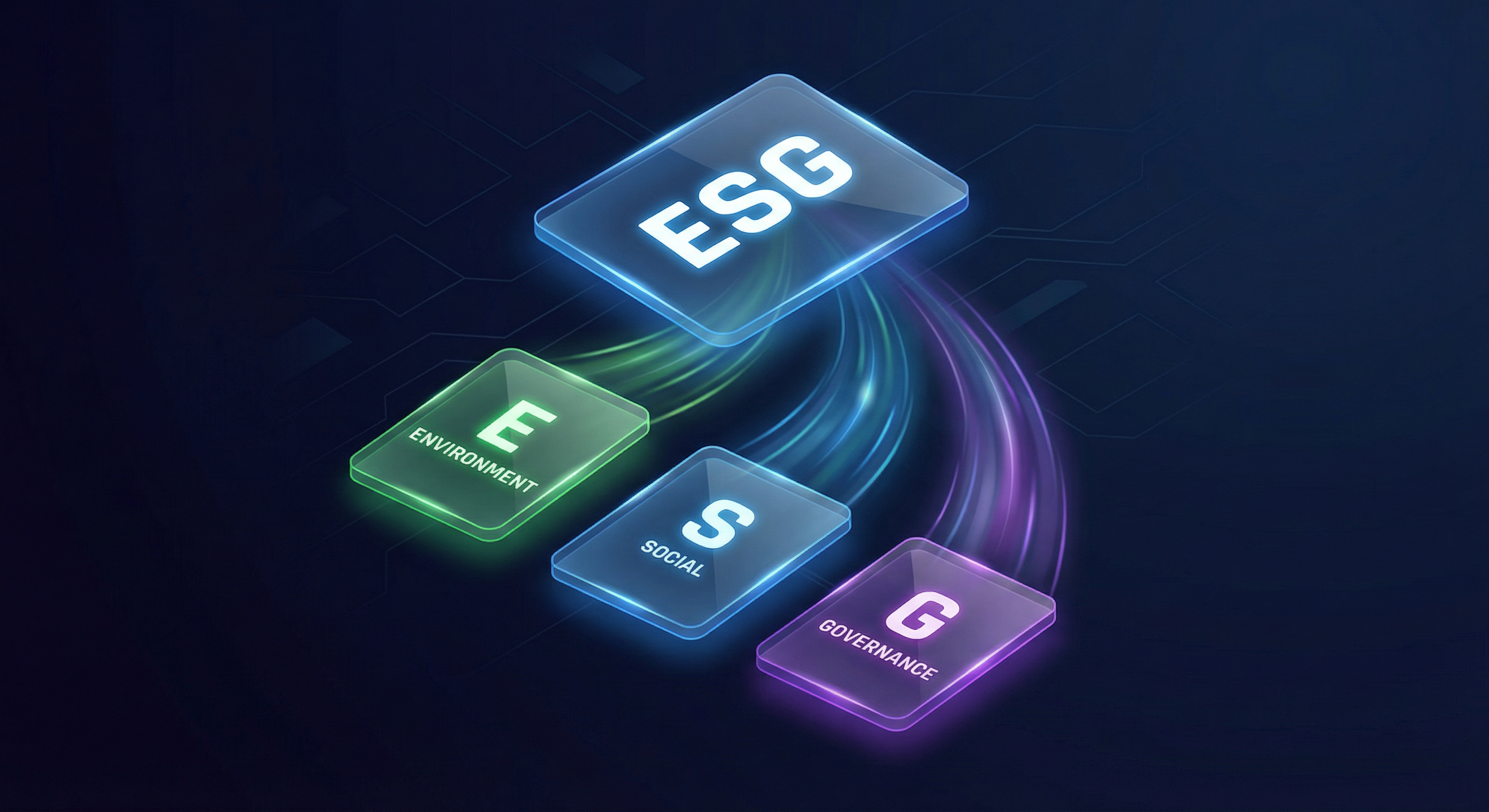 E / S / G 영역 분리
